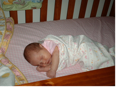 photo by funkepunkemonke.com