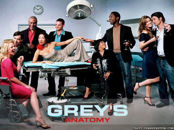 greys anatomy
