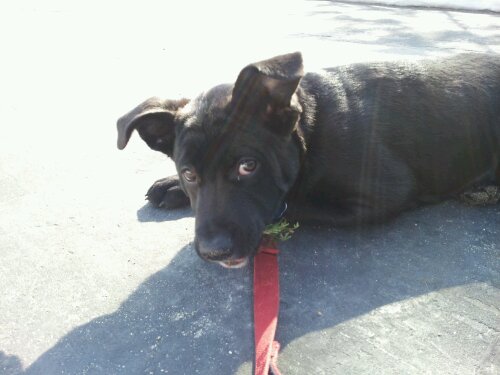 20130308_143901.jpg image