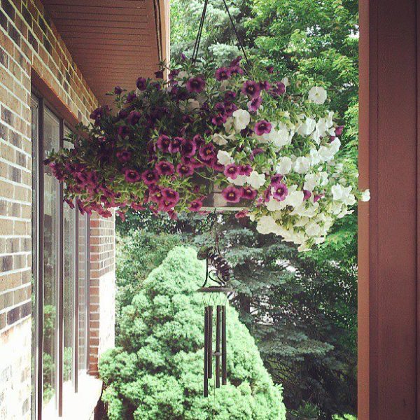 1533_10100170978110706_1556113099_n