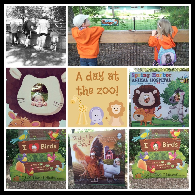 zoo