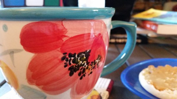 12006501_10100755511037036_9045764900555718436_o