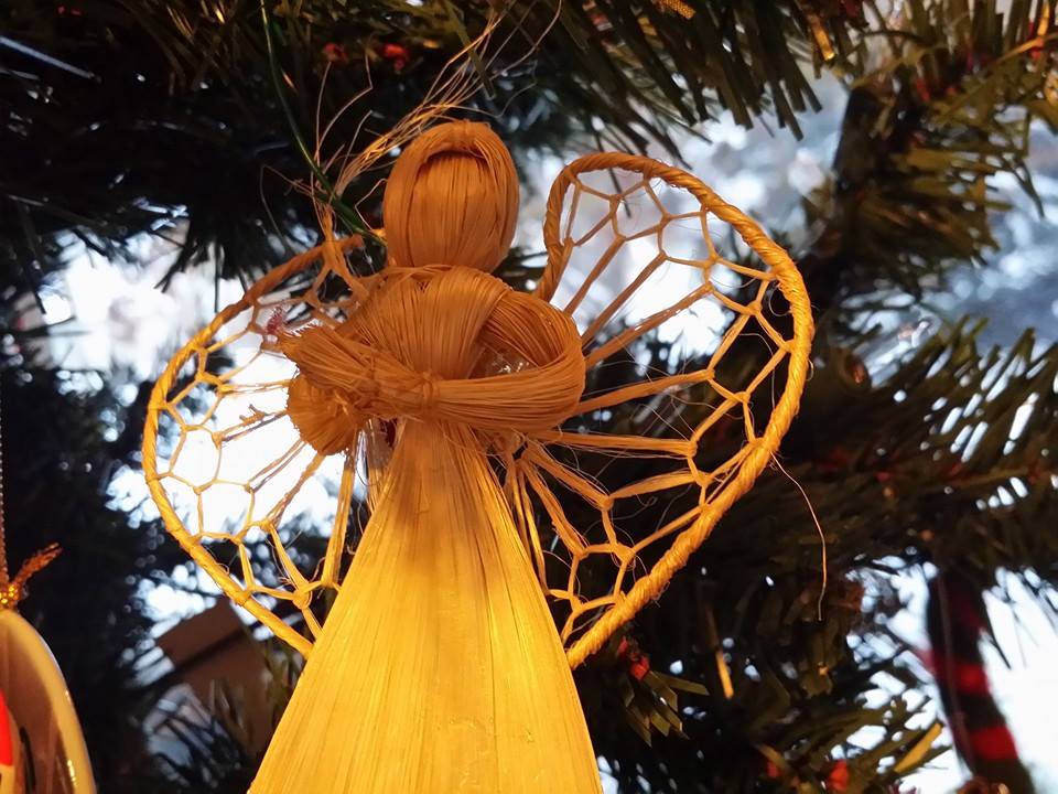 1472729_10100294970124716_1529698013_n