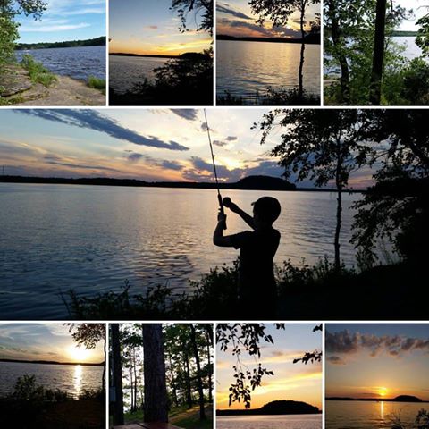 13516705_1236201673091734_7726791023046201710_n