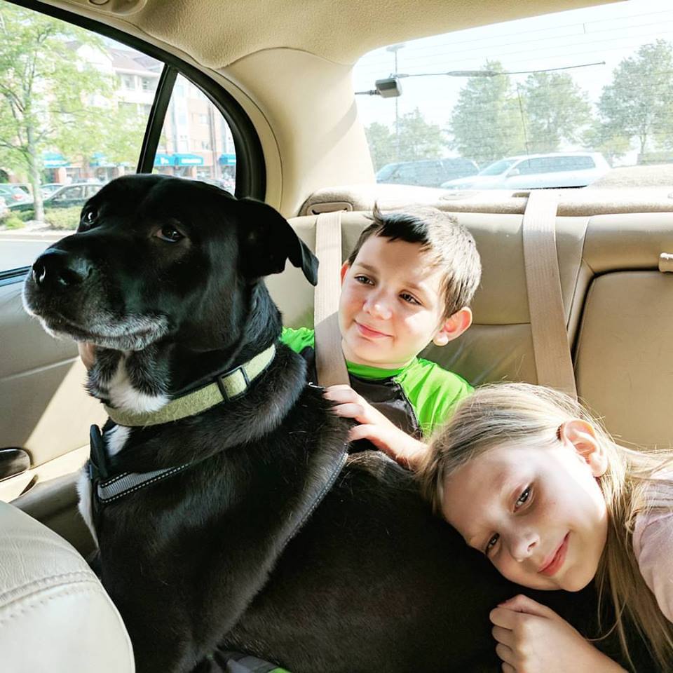 19030331_10101259422404616_1986629017586962479_n