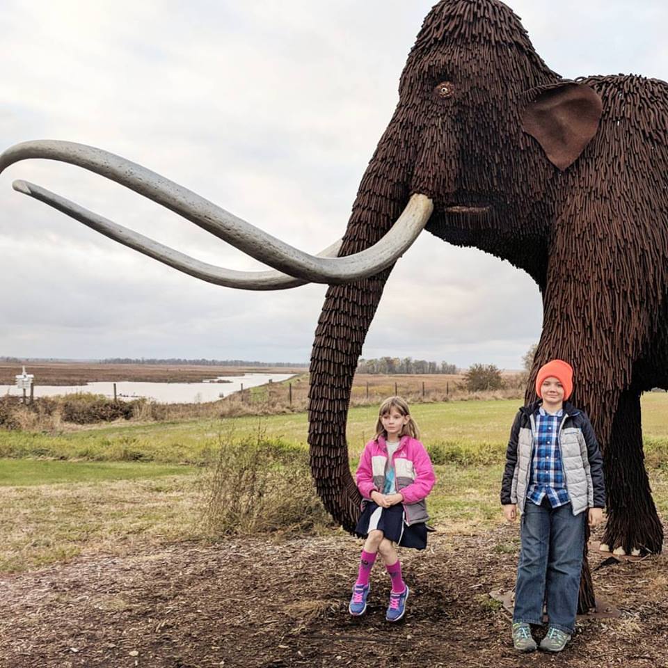 23376075_10101401913935446_7957884303501518481_n