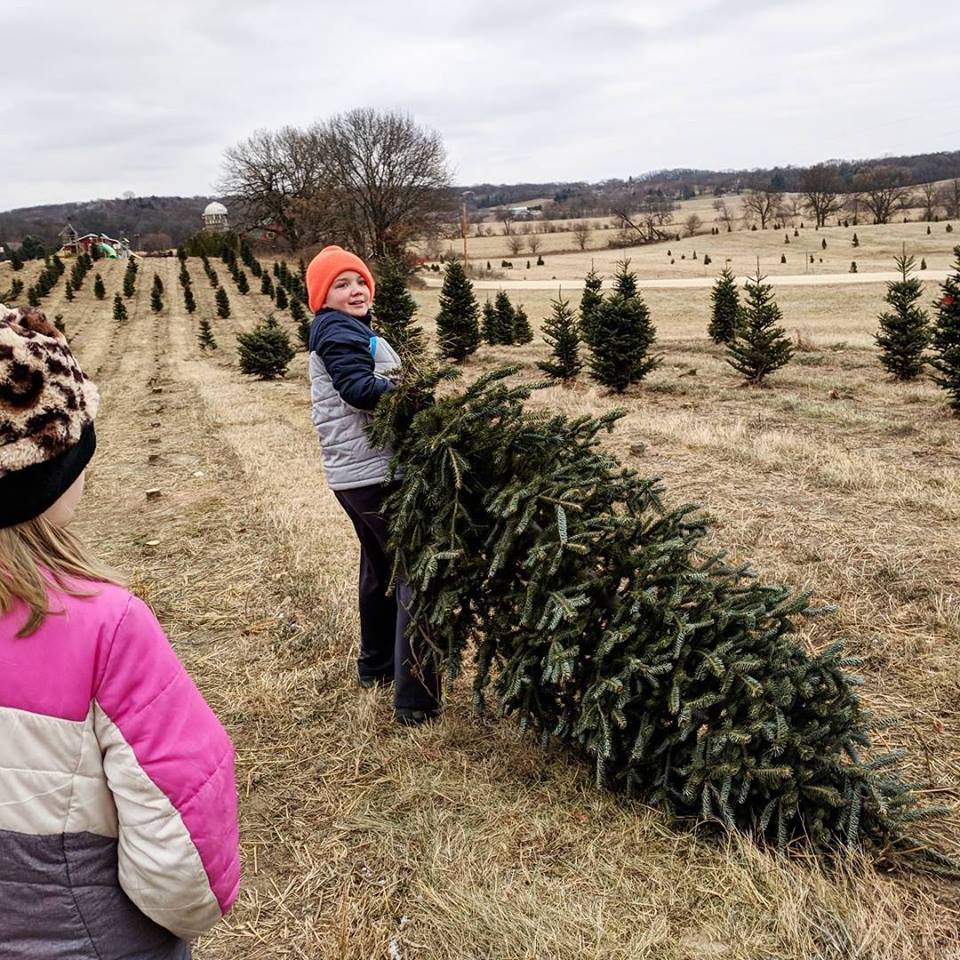 24900048_10101431338428526_5208577312855170791_n