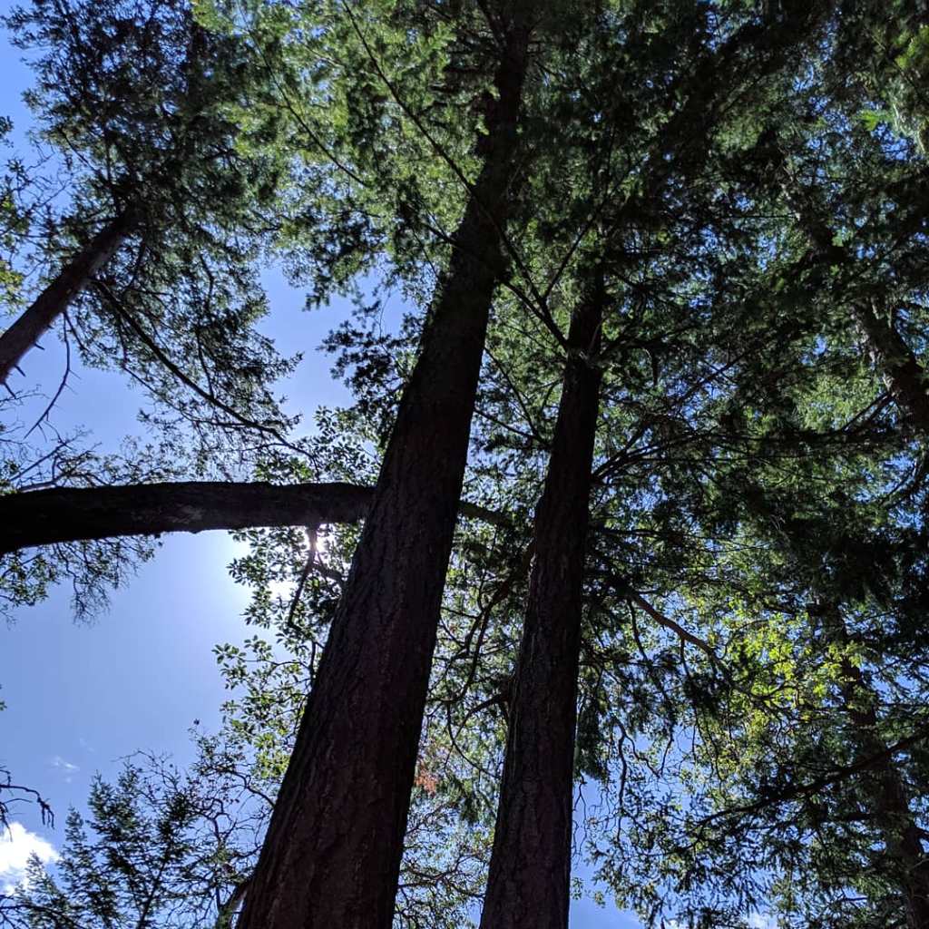 Wordless Wednesday: 5 Mile Drive in Puyallup,&nbsp;Washington