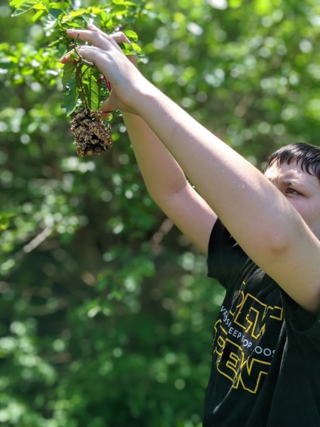 making pinecone bird feeders with the kids really brought me back to doing this as a kid with my grandmother