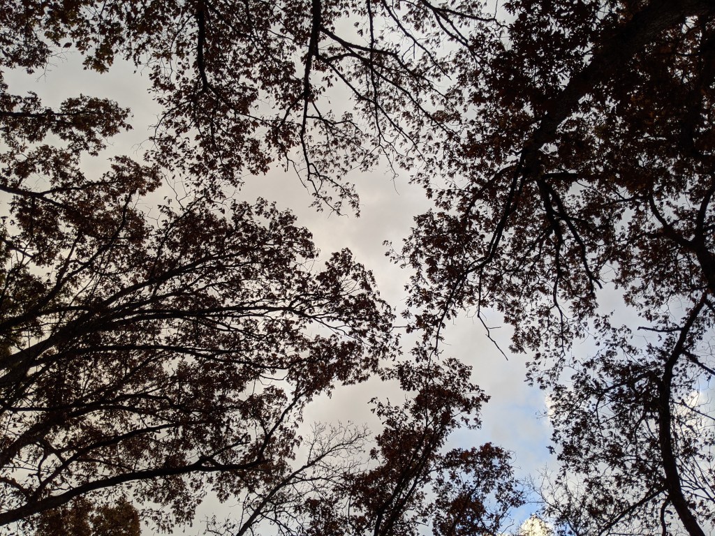 counting my blessings in&nbsp;2020